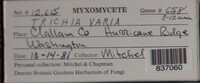 Image Associated With the Occurence